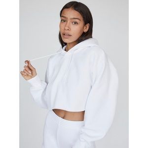 Aritzia TNA Cropped Hoodie